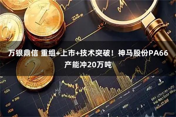万银鼎信 重组+上市+技术突破！神马股份PA66产能冲20万吨